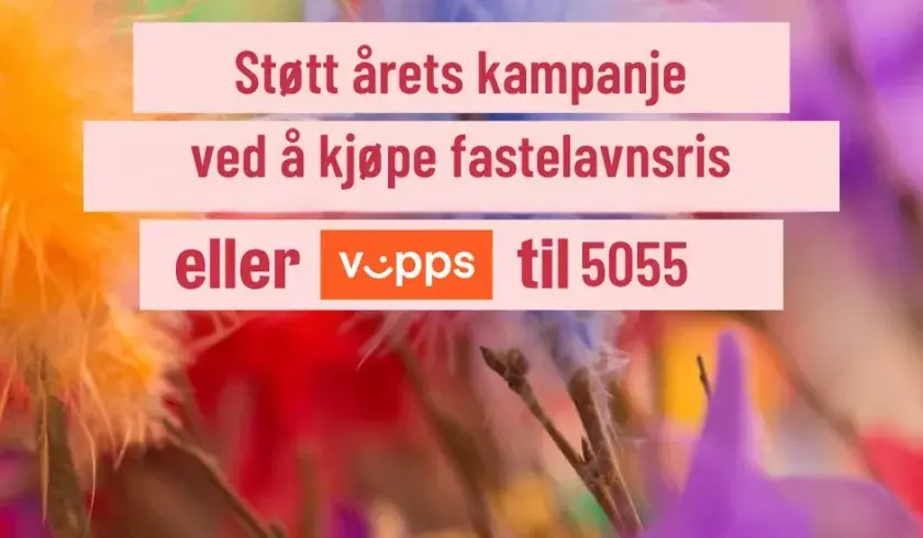 Fastelavn med vipps