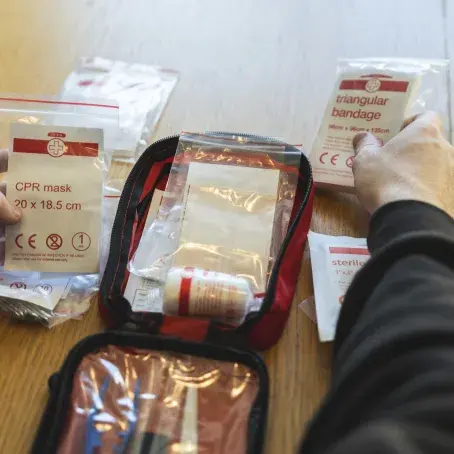 Legemidler til egen beredksapslager